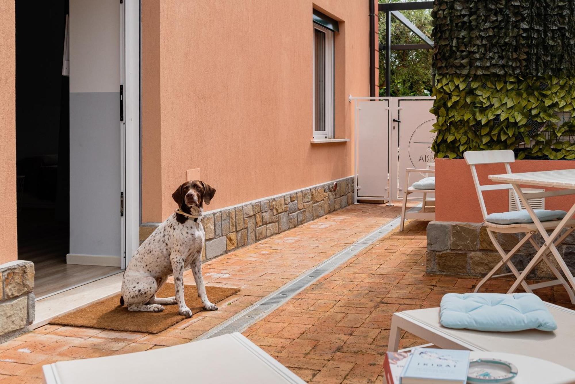 Casa Vittoria Villa Agropoli Bagian luar foto